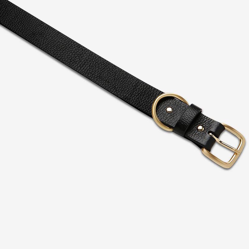 Status Anxiety Disarm Belt image number 2